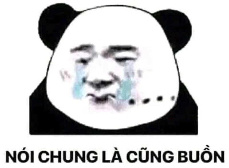 Ảnh meme giận cực kỳ dễ thương khiến bạn phải cười lớn.