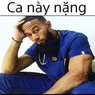 Meme hết cứu mèo nhưng vẫn cực kỳ hài hước, bạn đã sẵn sàng chưa?