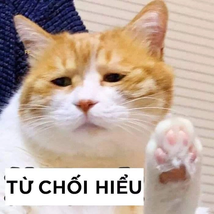 Hãy để meme cứu tui xóa tan mọi muộn phiền, mang lại tiếng cười.