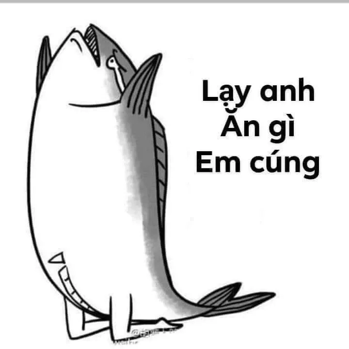 T lạy mày meme là lựa chọn hoàn hảo để thư giãn.