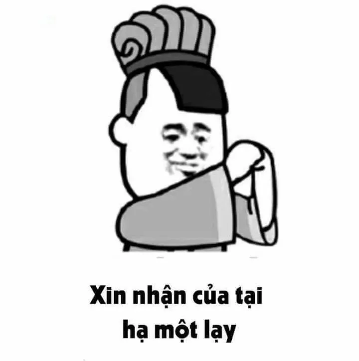 Meme mèo quỳ lạy mang lại cảm giác dễ thương, vui nhộn.