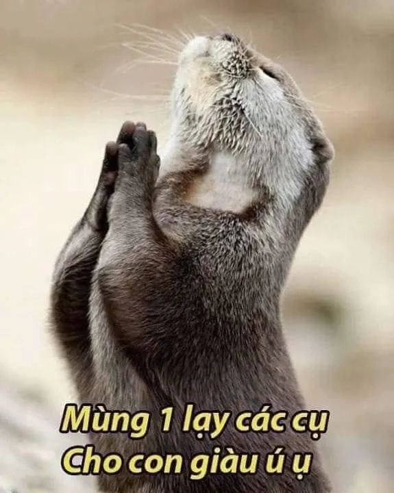 Hài hước không ngừng với meme khép đít lạy cực kỳ đáng yêu.