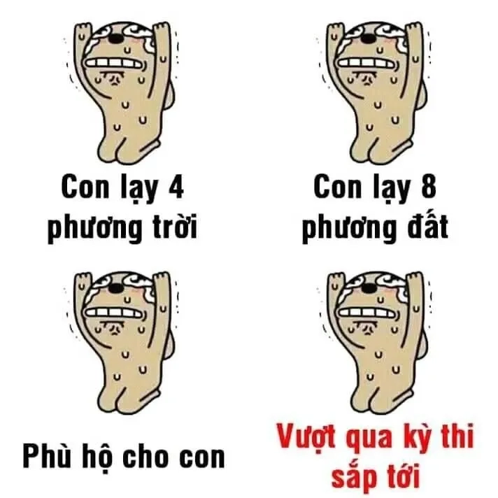 Em lạy chị meme đem lại giây phút thư giãn tuyệt vời.