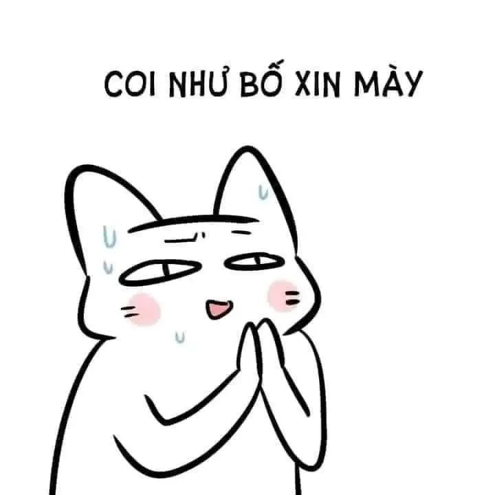 Cùng tìm hiểu meme quỳ xuống cực kỳ dễ thương.