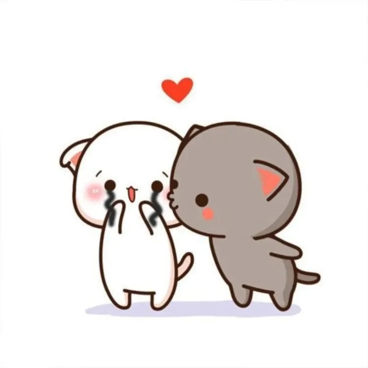 Những khoảnh khắc dễ thương của mèo yêu trong meme mèo love.