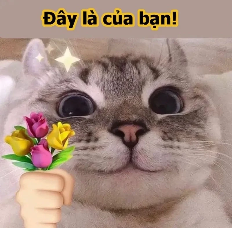 Tặng em bông hoa meme ngọt ngào, đầy tình cảm và dễ thương.