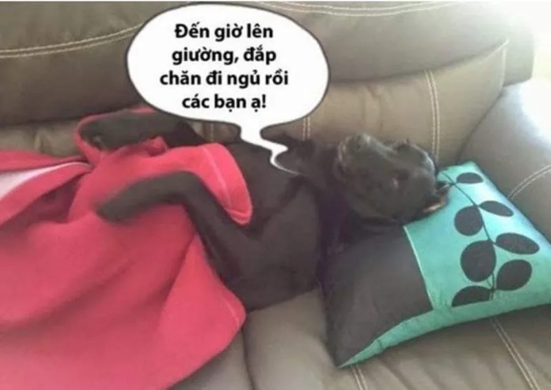 Hãy bắt đầu một ngày mới vui vẻ với meme mới ngủ dậy.