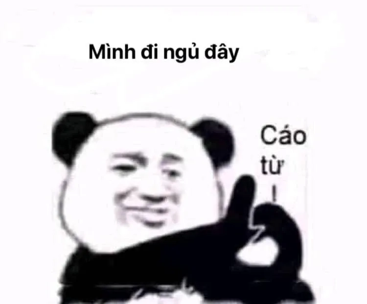 Mèo ngủ ngon trong meme ngủ ngon mèo cực kỳ đáng yêu.