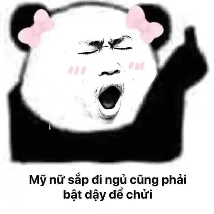 Chúc bạn và mèo ngủ ngon qua ngủ ngon meme mèo dễ thương này.