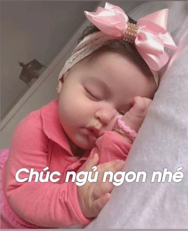 Meme ngủ cute này sẽ làm bạn mỉm cười ngay lập tức.