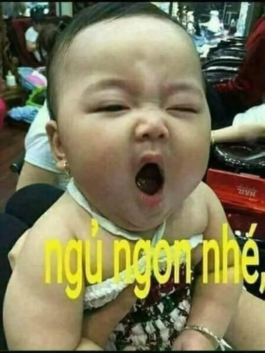 Chúc bạn có giấc ngủ ngon với ngủ ngon meme cute dễ thương.