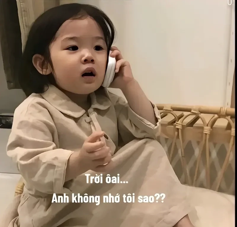 Meme hổng có nhớ là một câu nói hài hước mang lại tiếng cười cho mọi người.