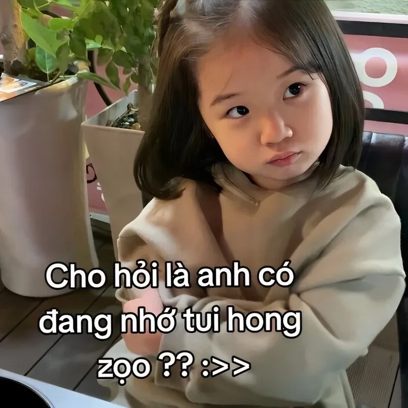 Hổng có biết nữa hong có nhớ meme dễ thương, nhưng không kém phần hài hước.