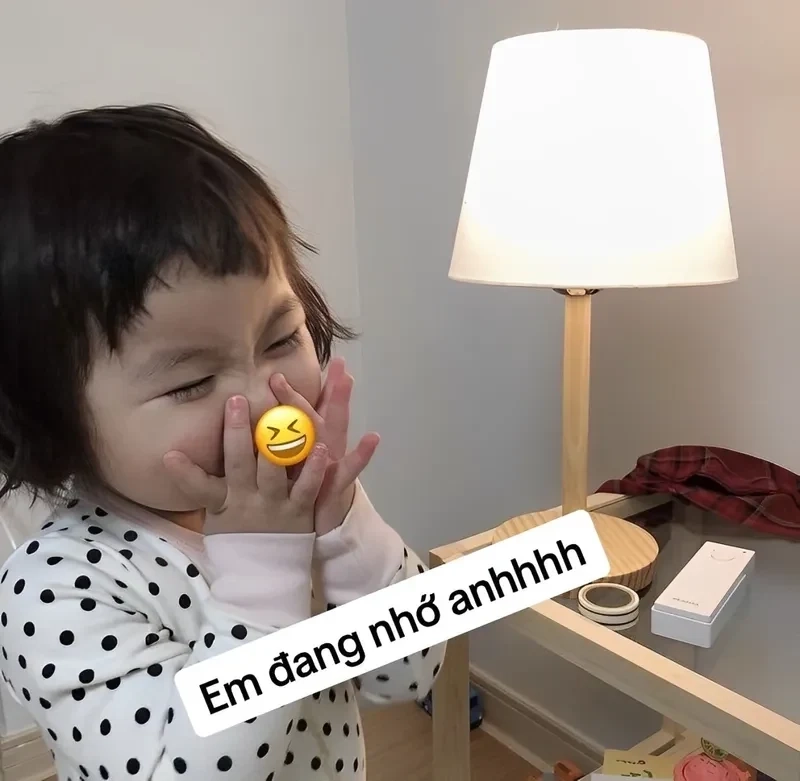 Crush meme nhớ người yêu khiến trái tim bạn không thể không thổn thức.