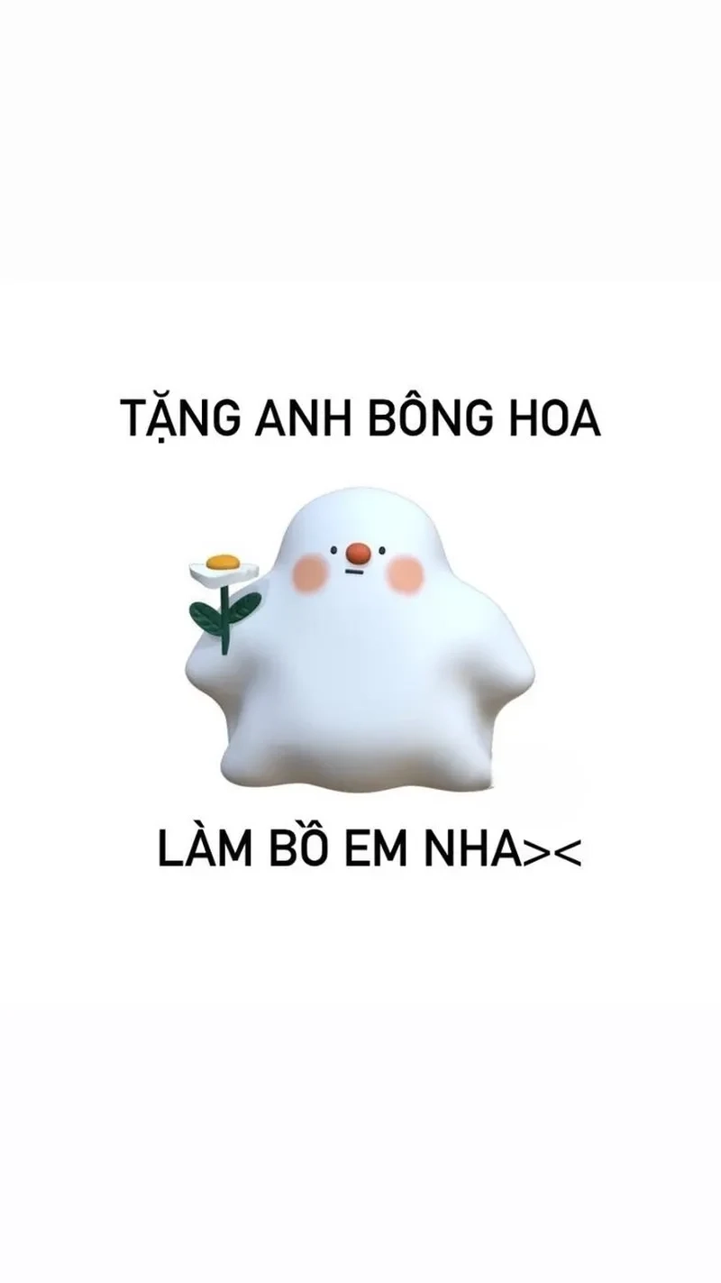 Meme mèo tặng hoa dễ thương và ngọt ngào, không thể bỏ qua.