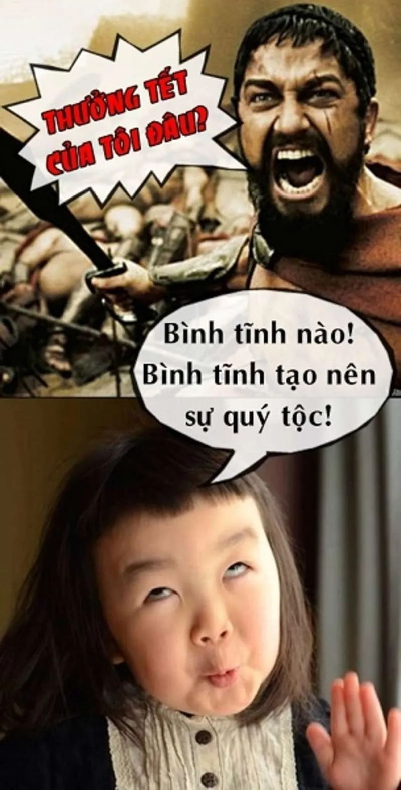 Ảnh tết meme dễ thương và hài hước giúp bạn thêm yêu thích Tết!