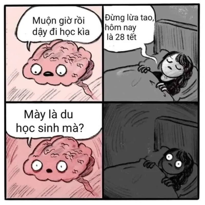 Những ảnh mèo meme tết sẽ khiến bạn mỉm cười trong những ngày đầu năm!