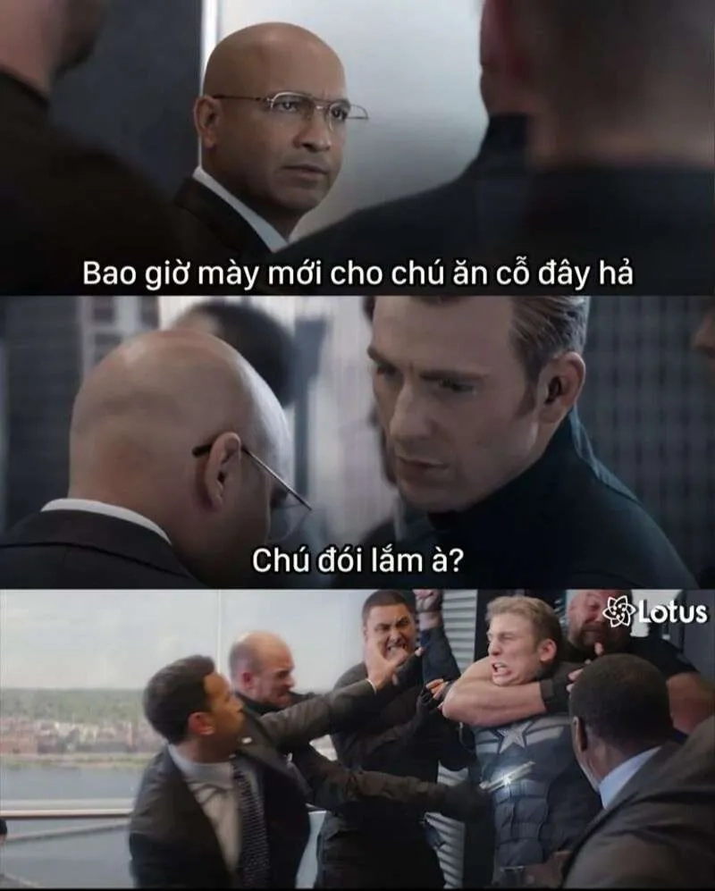 Meme mèo ngày tết dễ thương sẽ giúp bạn đón xuân đầy phấn khởi!