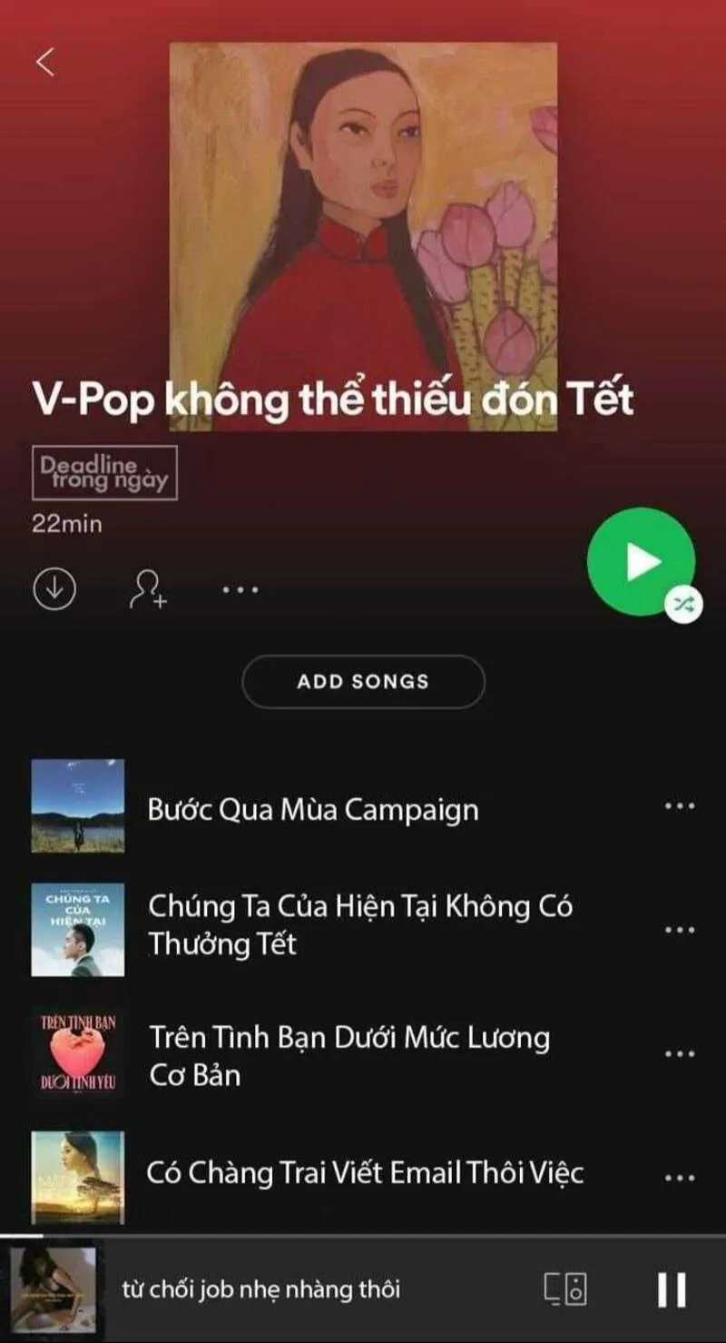 Ảnh tết meme mèo siêu cute cho những ai yêu thích không khí Tết vui tươi!