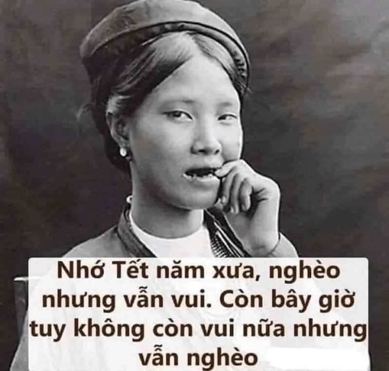 Hình mèo meme tết là lựa chọn hoàn hảo để chào đón mùa xuân tươi vui!