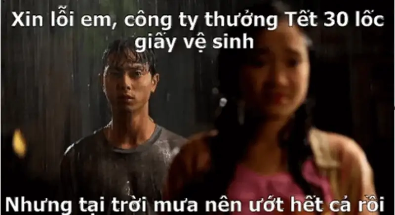 Avt mèo tết meme dễ thương, là điểm nhấn cho hình ảnh của bạn trong ngày Tết!