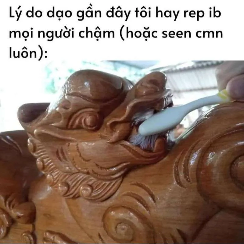 Meme mèo đón tết siêu ngộ nghĩnh, mang đến niềm vui cho những ngày đầu năm!