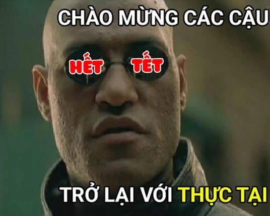 Avatar meme tết 2024 đáng yêu, thêm phần vui vẻ cho năm mới của bạn!