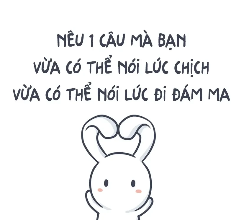 Với meme thỏ bảy màu nhàm nhang nhồ, mọi thứ sẽ trở nên thú vị và hài hước hơn bao giờ hết.