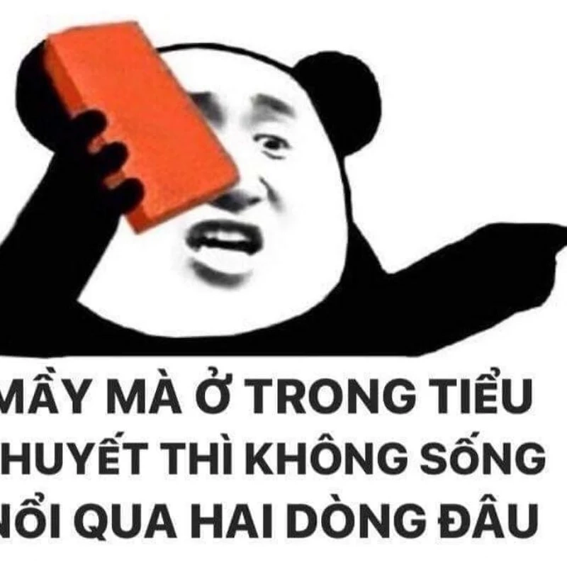 Meme trung quốc dễ thương này sẽ làm bạn không thể không bật cười.