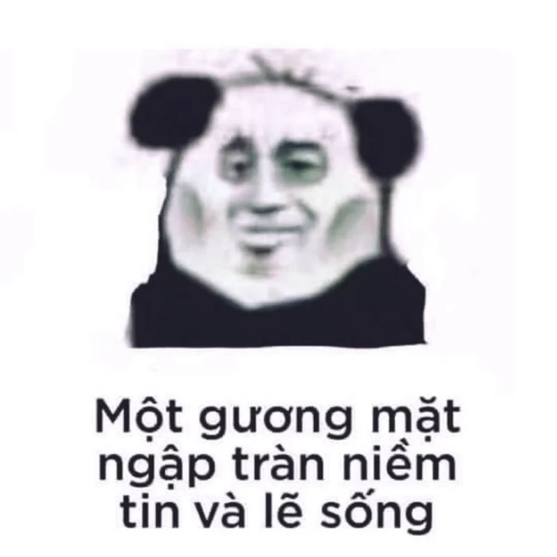 Meme mèo béo trung quốc sẽ khiến bạn mỉm cười vì độ dễ thương của nó.