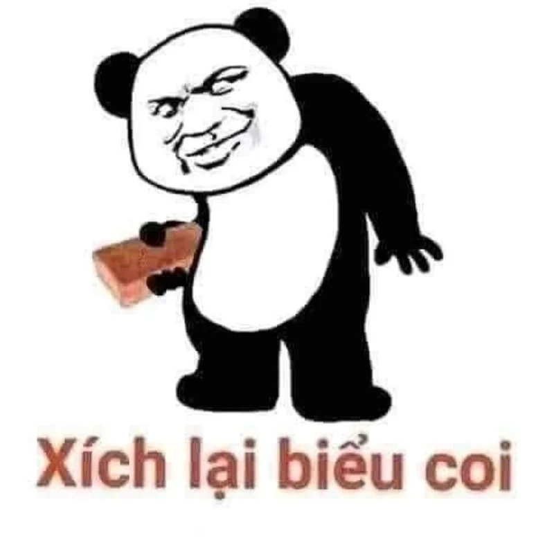 Meme em bé cute hài hước sẽ khiến mọi người phải bật cười.