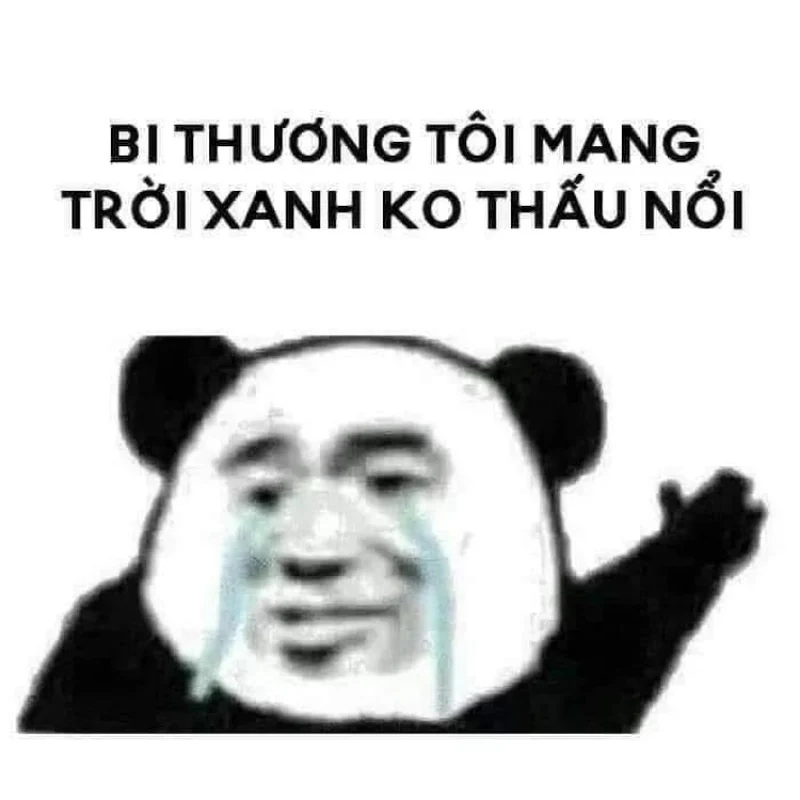 Meme mèo khóc cực kỳ đáng yêu và dễ thương, ai cũng yêu thích.