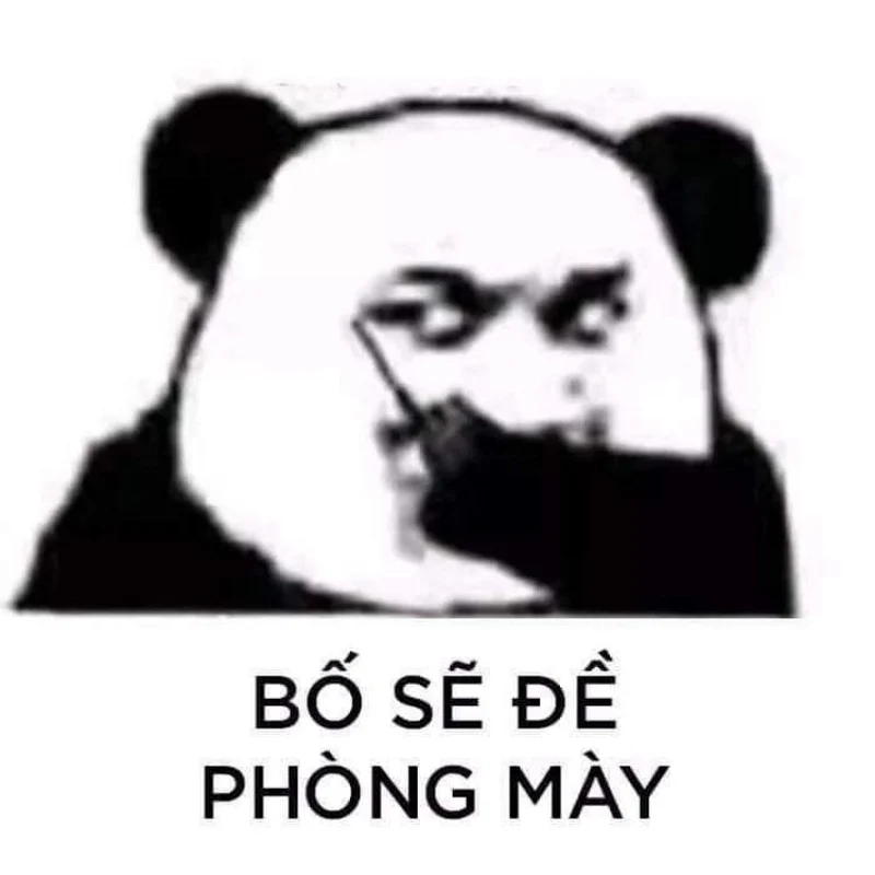 Meme chó khóc cực kỳ dễ thương và hài hước, không thể bỏ qua.