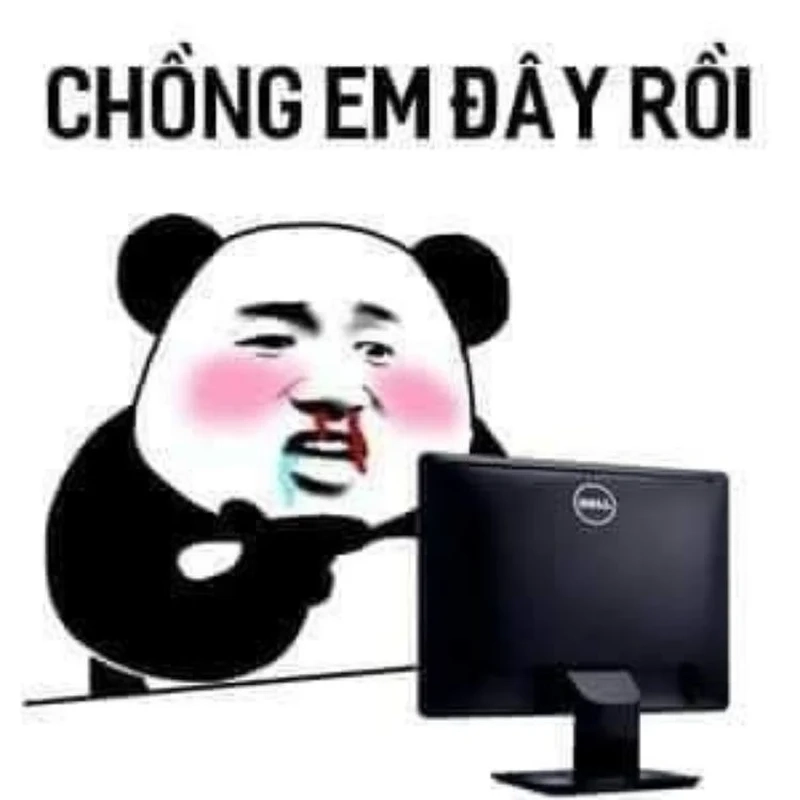 Meme mèo bựa này khiến bạn bật cười vì độ hài hước khó tả.