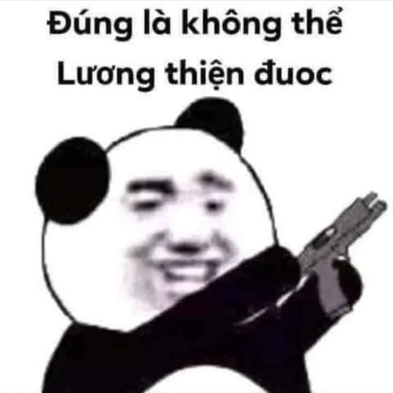 Cùng xem meme trung quốc gấu trúc trong những tình huống cực kỳ vui nhộn.