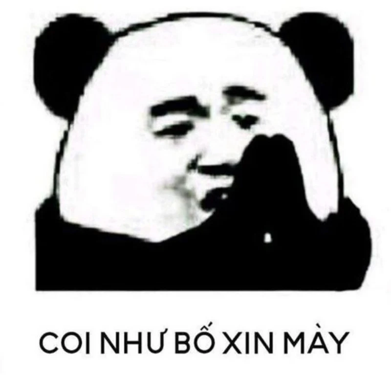 Meme xin lỗi này sẽ khiến bạn bật cười với sự ngây ngô của nhân vật.