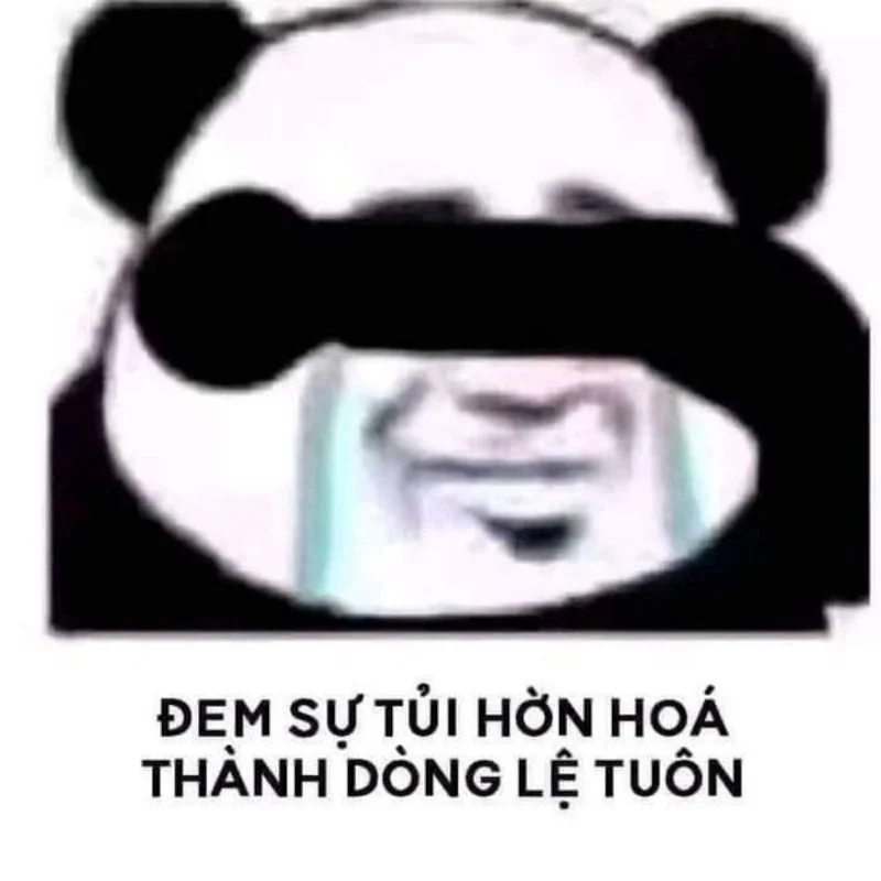 Meme mèo có chữ này cực kỳ dễ thương và đầy hài hước.