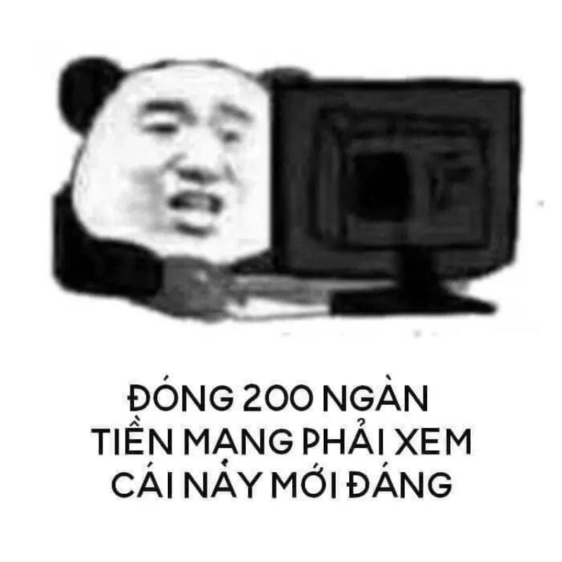 Hải ly hồng meme cực kỳ dễ thương và vui nhộn, không thể bỏ qua.