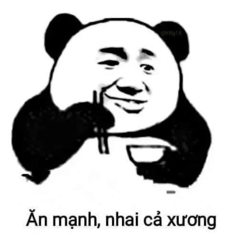 Hải ly trung quốc meme cực kỳ dễ thương và khiến bạn không thể nhịn cười.