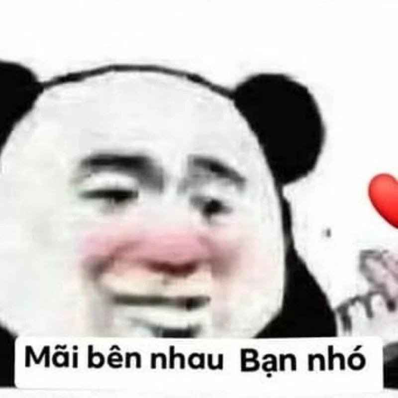 Meme phim cung đấu luôn đầy những tình huống hài hước và bất ngờ.