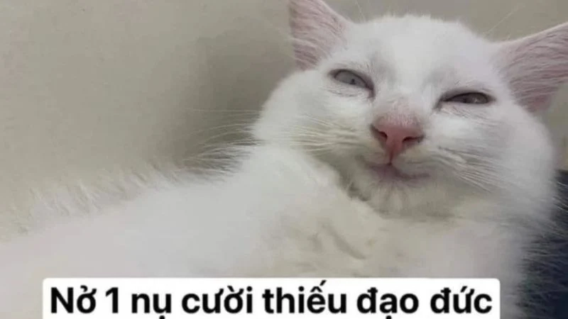 Không thấy vui trong lòng meme giúp bạn giải tỏa tâm trạng.