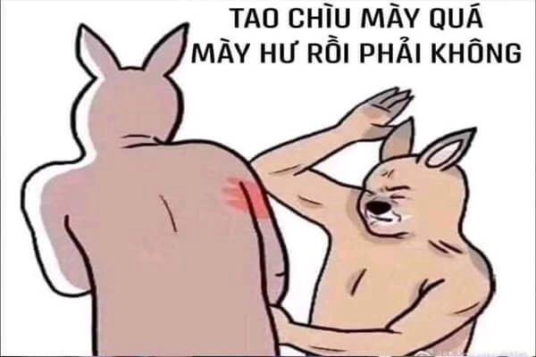 Meme vui buồn tạo sự thú vị và bất ngờ cho mọi người.