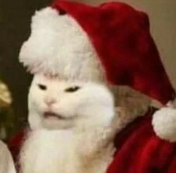 Ảnh mèo noel meme cực dễ thương, bạn không thể bỏ qua trong mùa lễ.