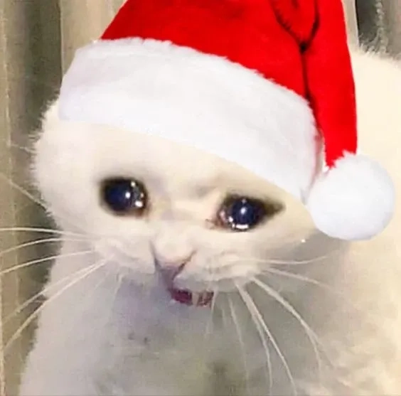 Ảnh meme mèo noel cực kỳ dễ thương, sẽ làm bạn mỉm cười suốt ngày.