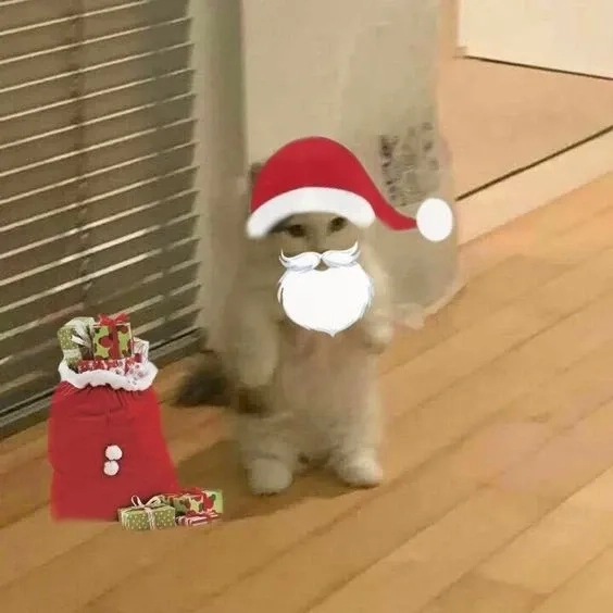 Cat noel meme sẽ mang đến tiếng cười trong không khí Giáng sinh.