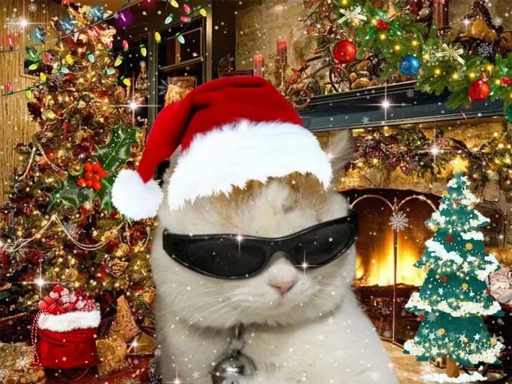 Mèo đội mũ noel meme cực cute, mang đến niềm vui cho ngày Giáng sinh.