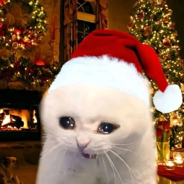 Ảnh mèo noel meme cute dễ thương, sẽ khiến bạn mỉm cười suốt mùa lễ.