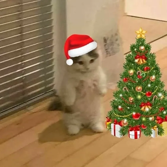 Chó noel meme đáng yêu, mang đến không khí vui vẻ trong mùa lễ hội.