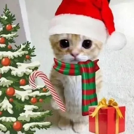 Meme de noel siêu đáng yêu, sẽ làm bạn không thể ngừng cười trong mùa lễ.