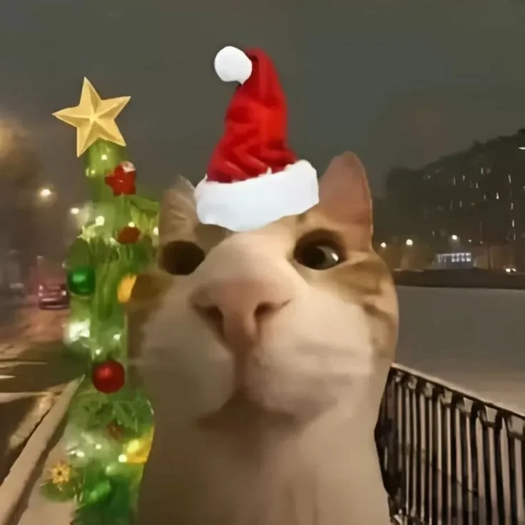 Meme papai noel là lựa chọn hoàn hảo để vui vẻ cùng gia đình trong lễ hội.